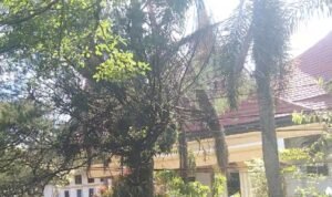 Screenshot_20251025_195130