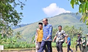 IMG-20260726-WA0019(1)